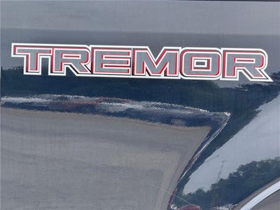 2020 Ford F-250 Platinum