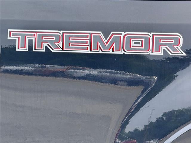 2020 Ford F-250 Platinum