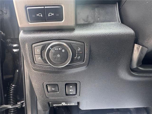 2020 Ford F-250 Platinum