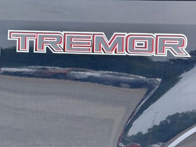 2020 Ford F-250 Platinum