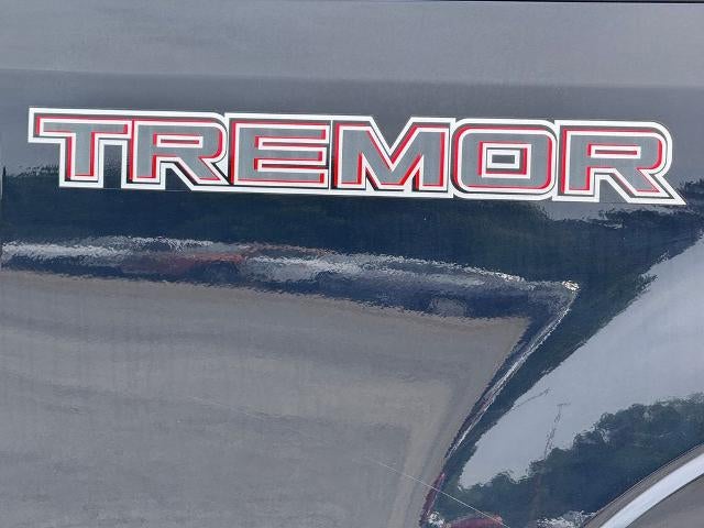 2020 Ford F-250 Platinum