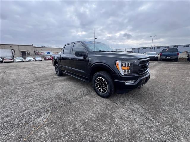 2023 Ford F-150 XLT 4x4 SuperCrew Cab 5.5 ft. box 145 in. WB