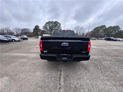 2023 Ford F-150 XLT 4x4 SuperCrew Cab 5.5 ft. box 145 in. WB