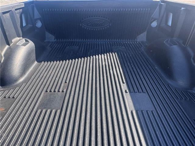 2023 Ford F-150 XLT 4x4 SuperCrew Cab 5.5 ft. box 145 in. WB