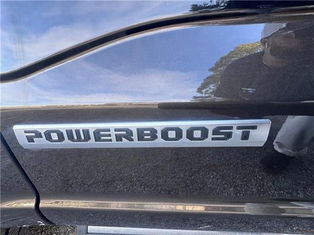 2024 Ford F-150 KINGRN