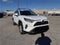 2019 Toyota RAV4 XLE Front-wheel Drive