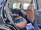 2023 Ford Bronco Sport Outer Banks 4x4