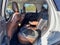 2022 Ford Bronco Sport Outer Banks 4x4
