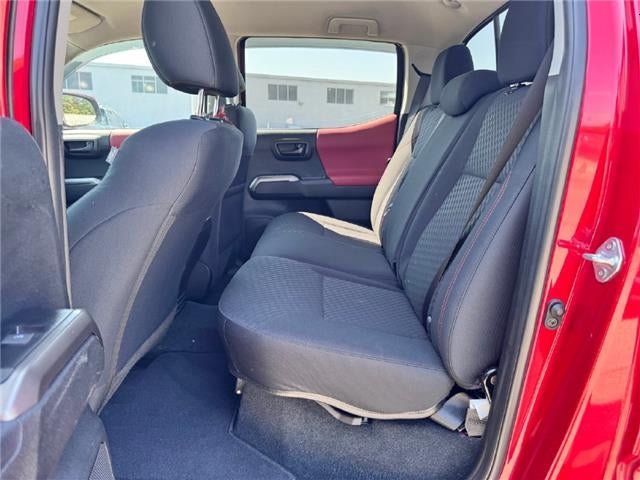 2023 Toyota Tacoma SR5 V6 4x2 Double Cab 5 ft. box 127.4 in. WB